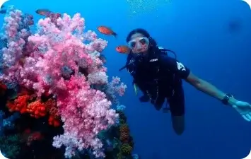 Dive Academy Phuket - DSD Program
