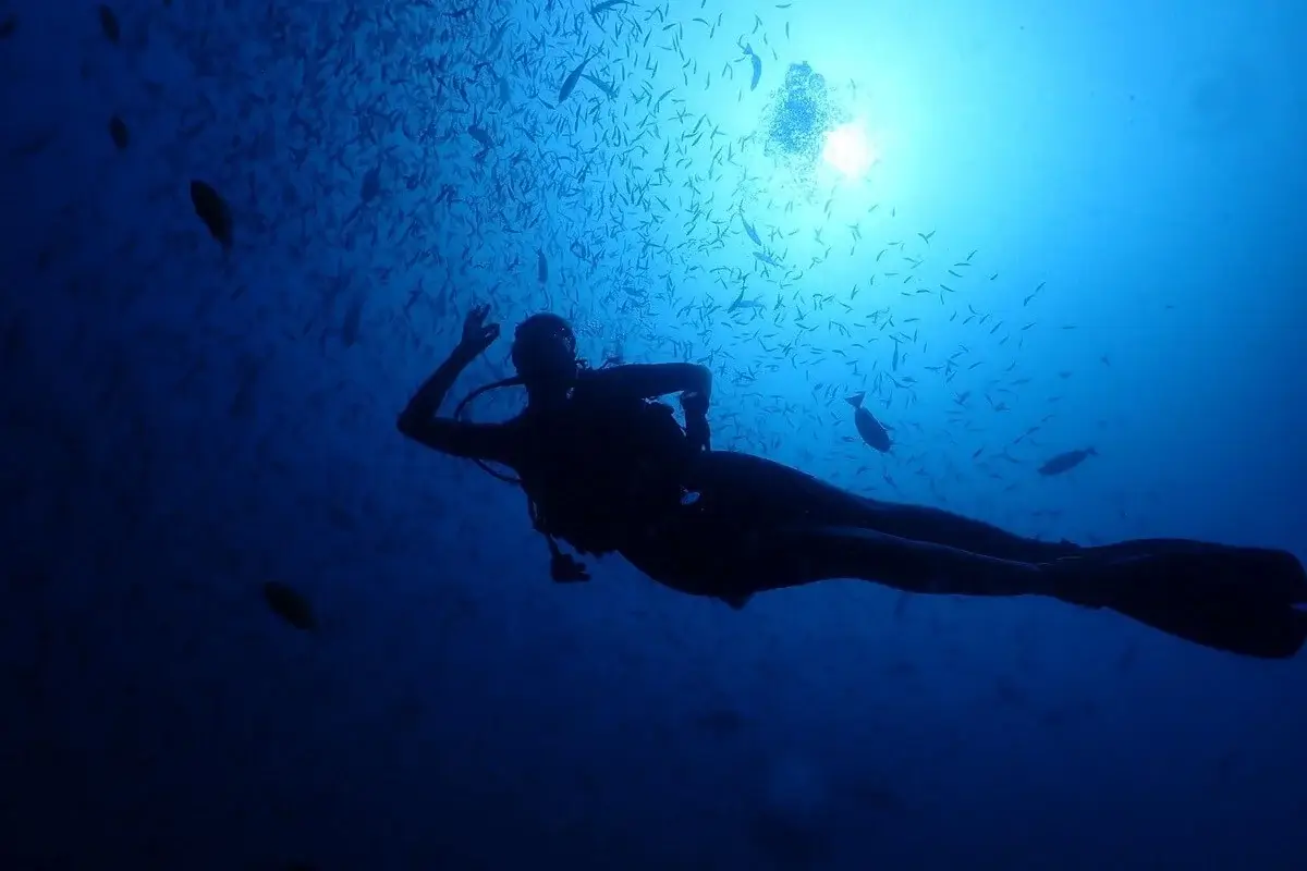Dive Academy Phuket - Go Pro Thumbnail Dive Academy Phuket - Go Pro Thumbnail