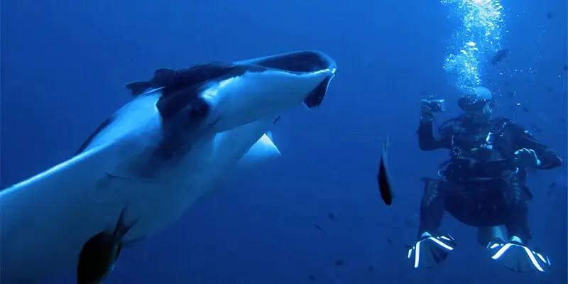Dive Academy Phuket - Koh Bon