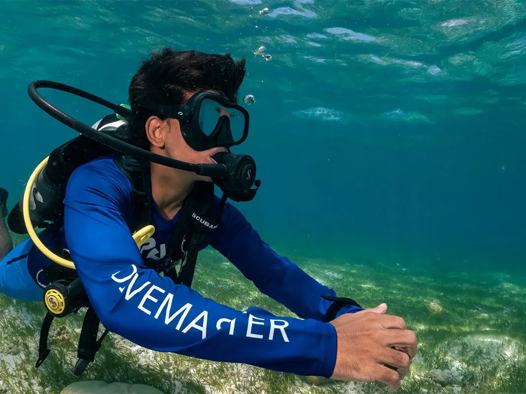 Dive Academy Phuket - PADI Divemaster Thumbnail Dive Academy Phuket - PADI Divemaster Thumbnail