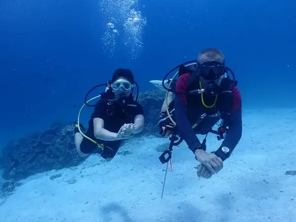 Dive Academy Phuket - PADI Divemaster Underwater Dive Academy Phuket - PADI Divemaster Underwater