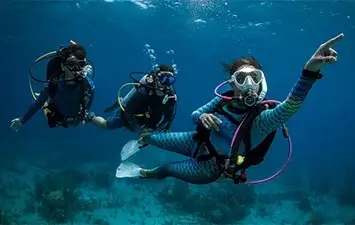 Dive Academy Phuket - PADI IDC Staff Instructor