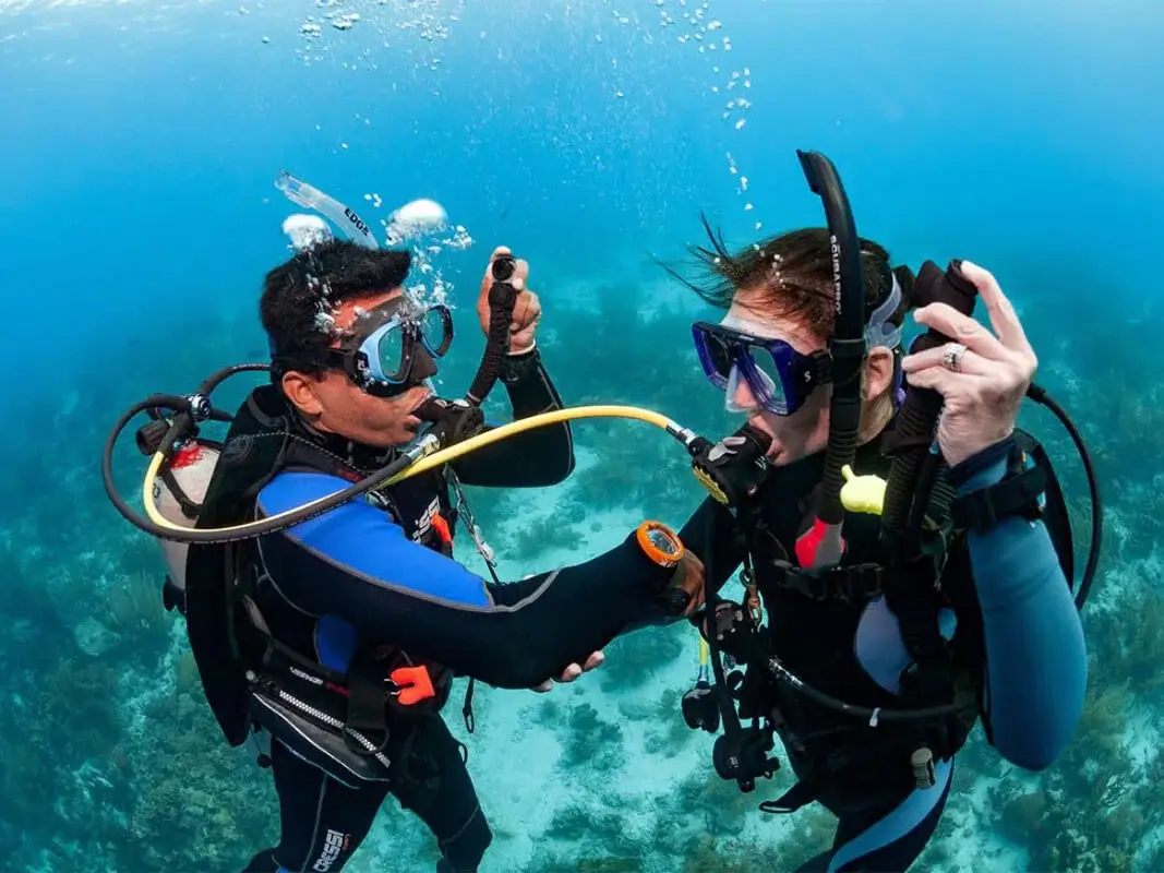 Dive Academy Phuket - PADI Master Scuba Diver Trainer Thumbnail Dive Academy Phuket - PADI Master Scuba Diver Trainer Thumbnail