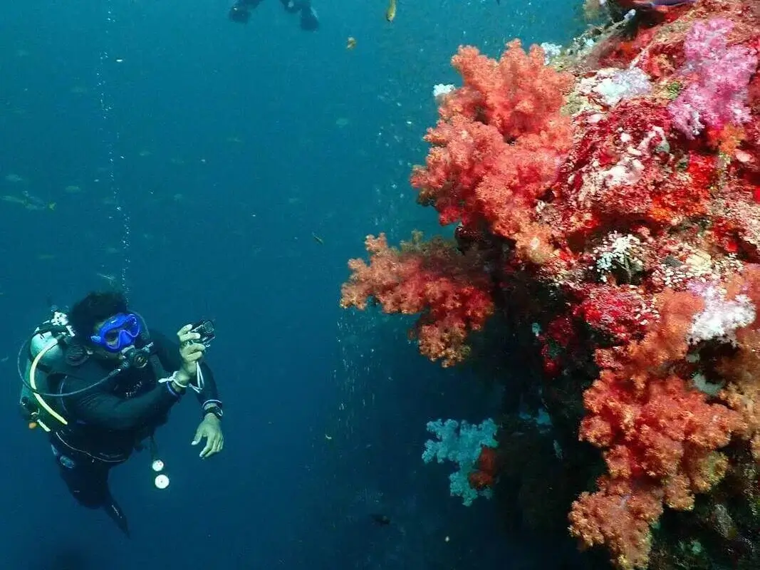 Dive Academy Phuket - PADI Scuba Diver Thumbnail Dive Academy Phuket - PADI Scuba Diver Thumbnail