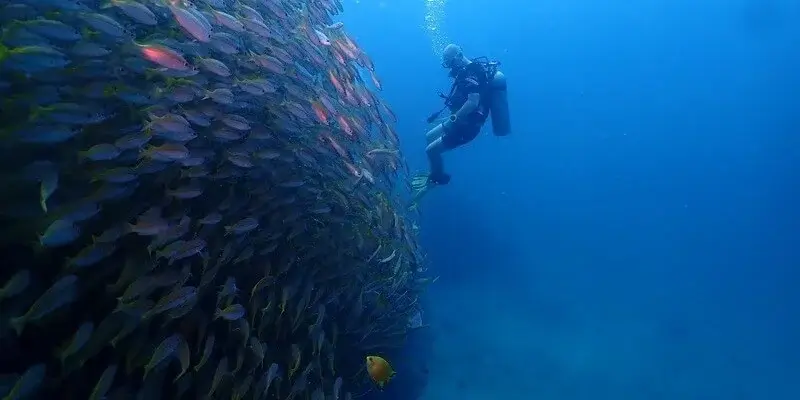 Dive Academy Phuket - Racha Yai