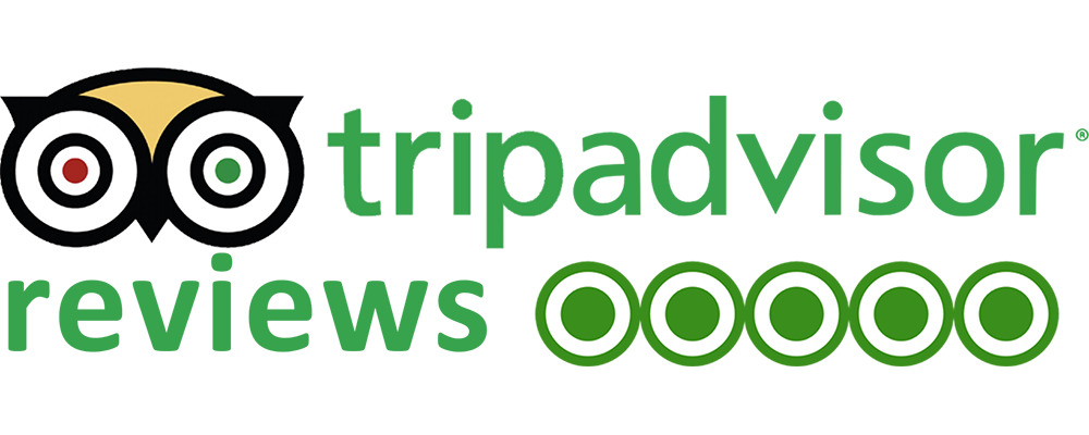 Tripadvisor Reviews Logo Tripadvisor Reviews Logo