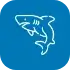 icon-shark-white