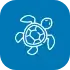 icon-turtle-white