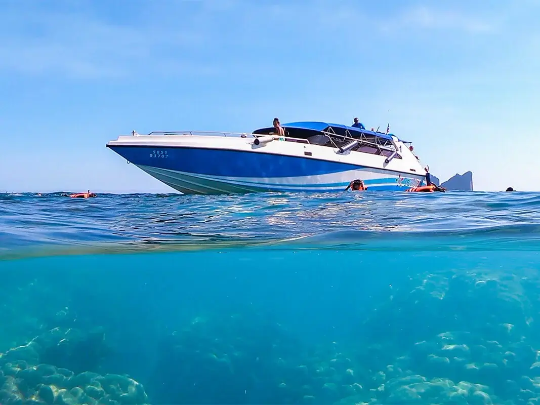 Dive Academy Phuket - Private Diving - Speedboat Charter Thumbnail Dive Academy Phuket - Private Diving - Speedboat Charter Thumbnail