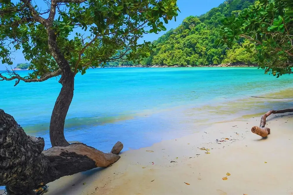 Dive Academy Phuket - Thailand Phuket Surin Islands Dive Academy Phuket - Thailand Phuket Surin Islands