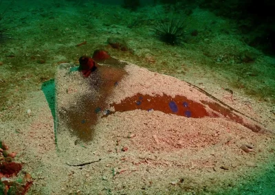 Dive Academy Phuket - Underwater 103