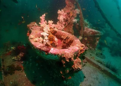 Dive Academy Phuket - Underwater 131