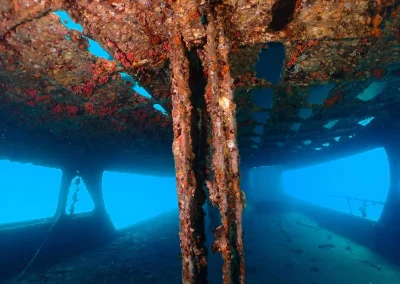 Dive Academy Phuket - Underwater 138