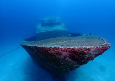 Dive Academy Phuket - Underwater 141