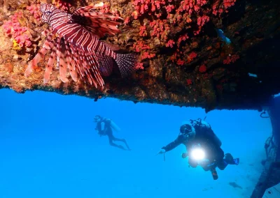 Dive Academy Phuket - Underwater 170