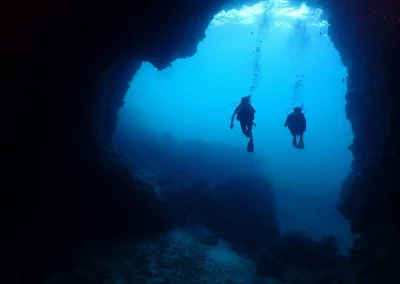 Dive Academy Phuket - Underwater 19