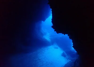 Dive Academy Phuket - Underwater 23
