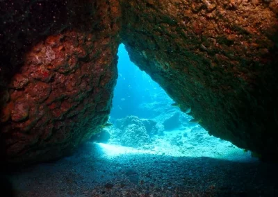 Dive Academy Phuket - Underwater 25