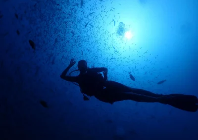 Dive Academy Phuket - Underwater 30