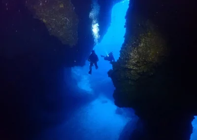 Dive Academy Phuket - Underwater 35
