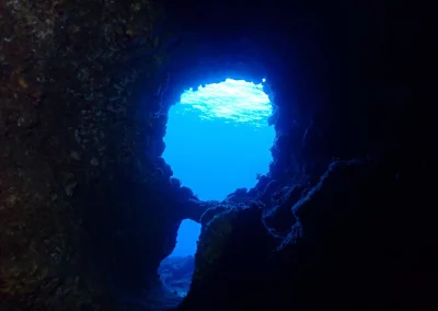 Dive Academy Phuket - Underwater 36
