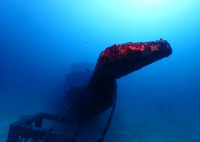 Dive Academy Phuket - Underwater 44