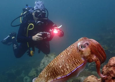 Dive Academy Phuket - Underwater 98